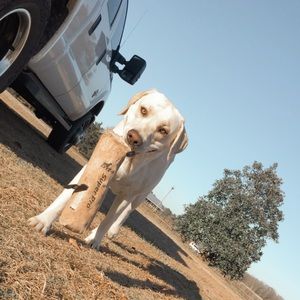 Meet your Posher, Garrett